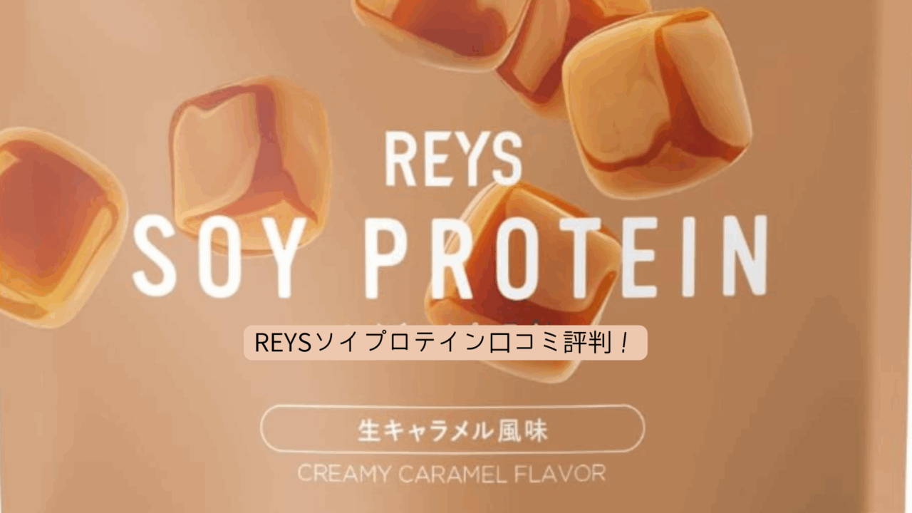 REYSレイズソイプロテイン　口コミ評判
